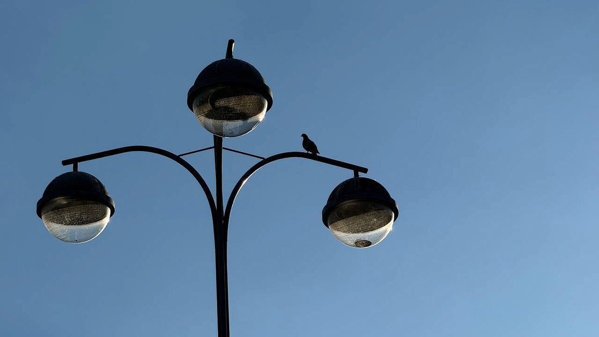    Фото: телеканал «Краснодар»