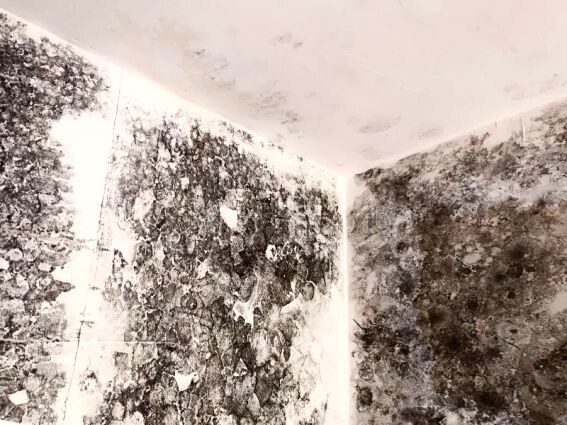 Дышащие стены