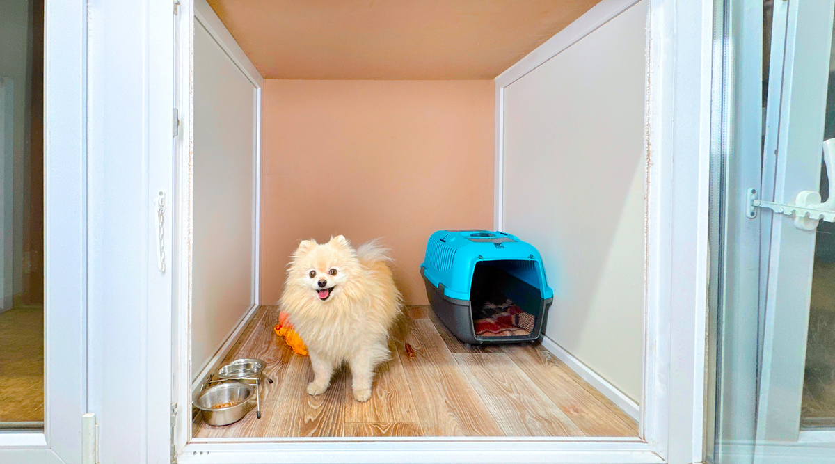 Зоогостиница
Фото предоставлено зоогостиницей «Модный хвост»