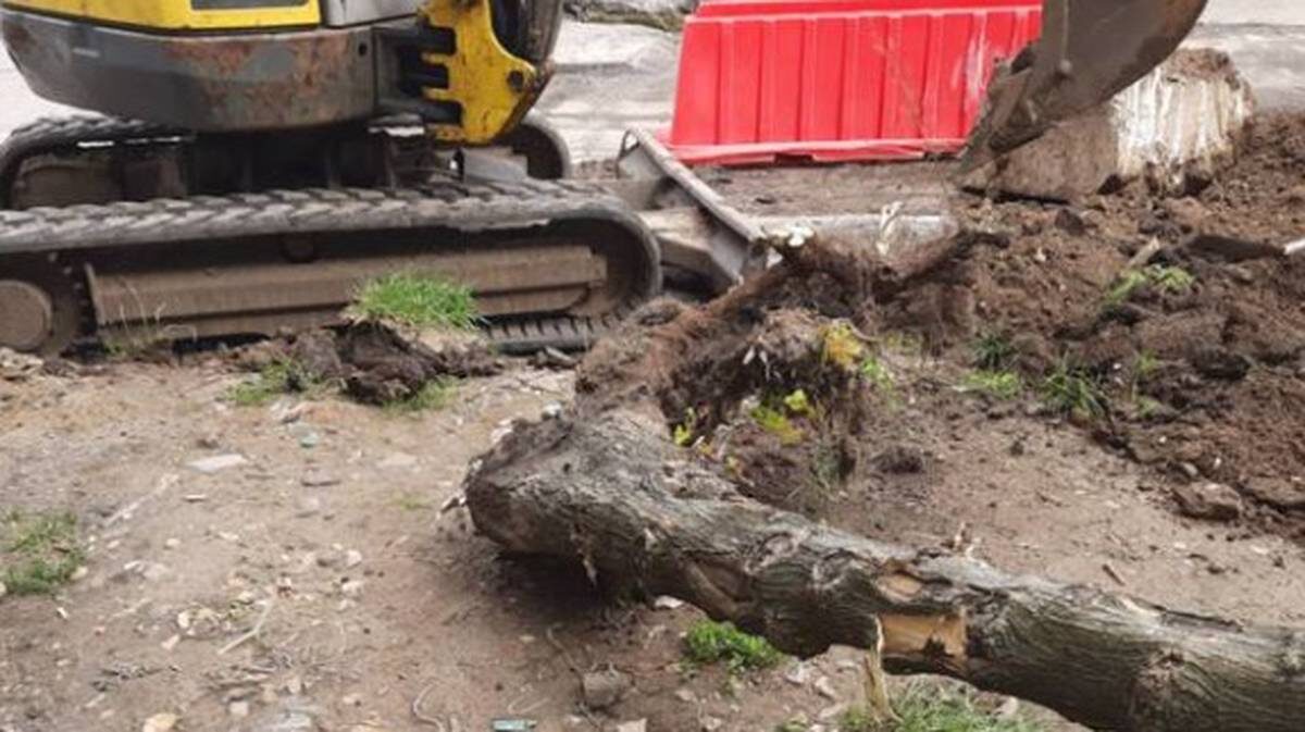    Фото: Прокуратура Москвы / Telegram