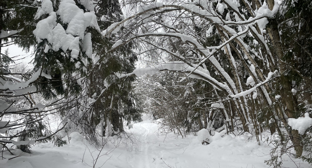 Про работу гидом.