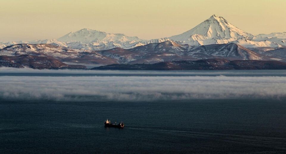    РИА «Новости»