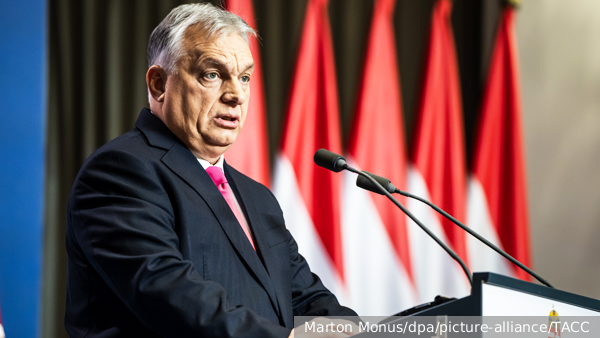     Фото: Marton Monus/dpa/picture-alliance/ТАСС   
 Текст: Тимур Шайдуллин