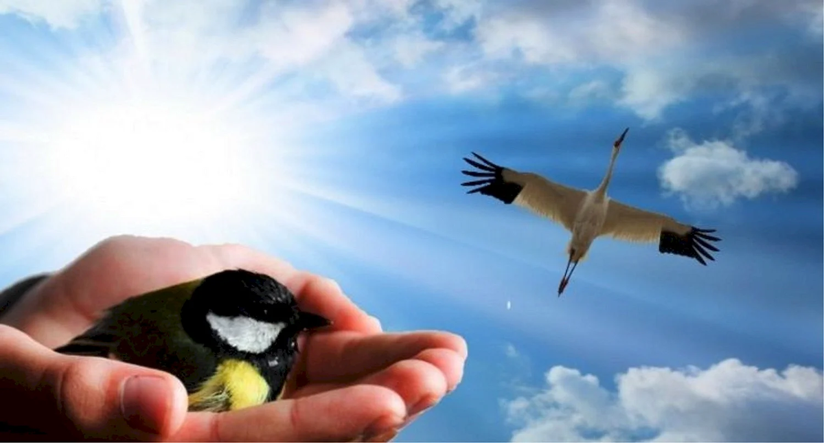 Источник: bsk-news.ru