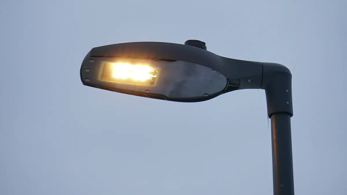    Фото: vm.ru Артем Назаров