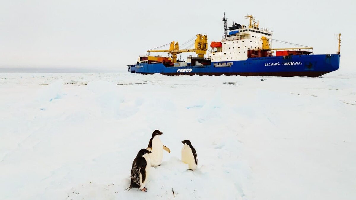   «Василий Головнин»