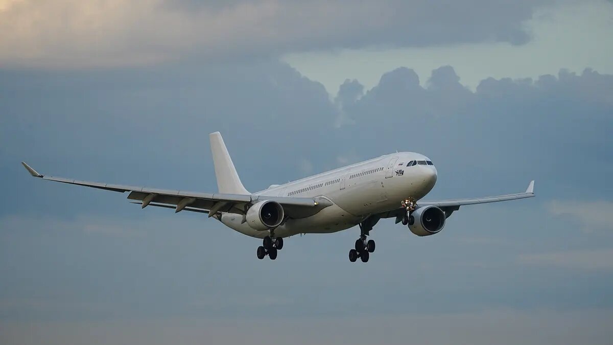    Фото: vm.ru Алла Бородина