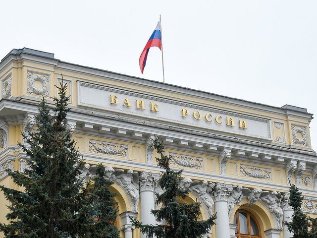    Фото: Москва 24/Никита Симонов