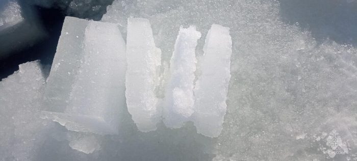 Фото: ГУ МЧС России по Орловской области  📷
