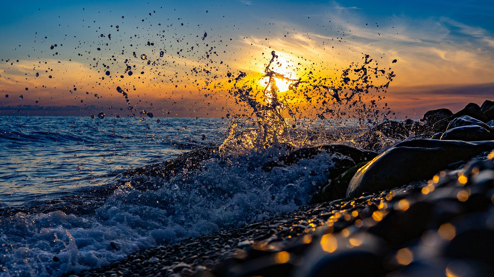 Фото: Оксана Зуйко / Коммерсантъ