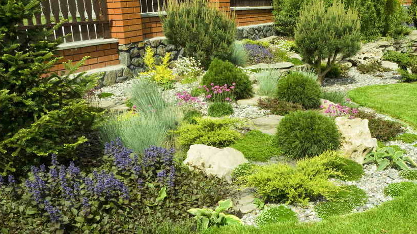 За два года участок изменился до неузнаваемости