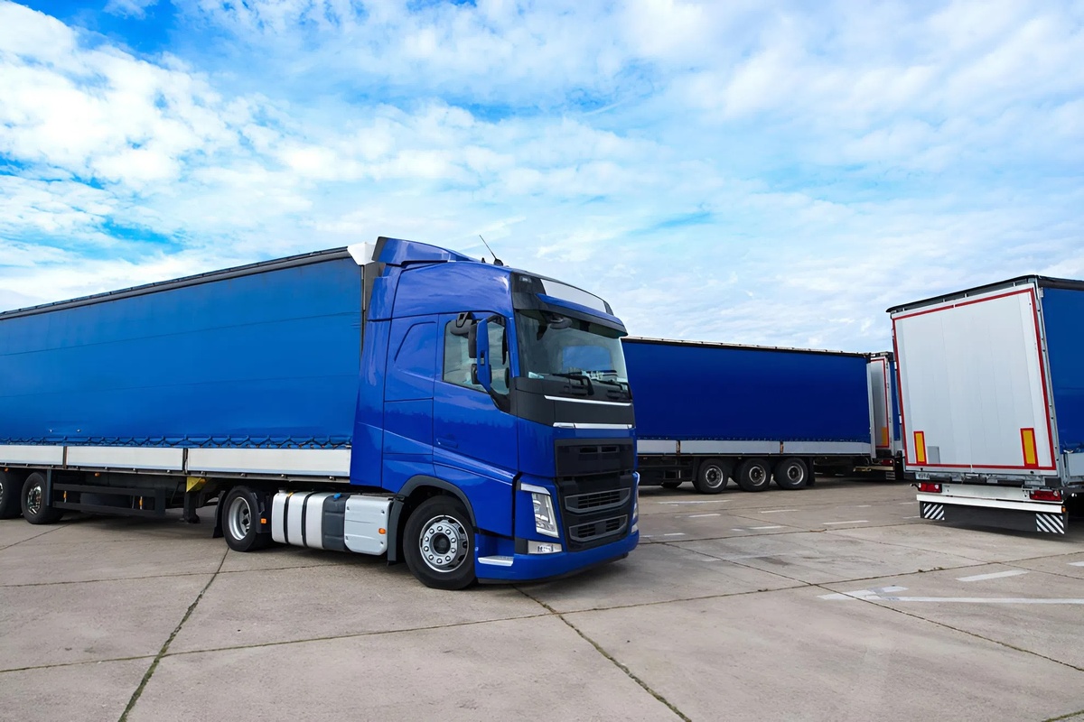 Источник: Freepik