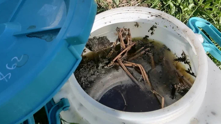 Зловонная бочка