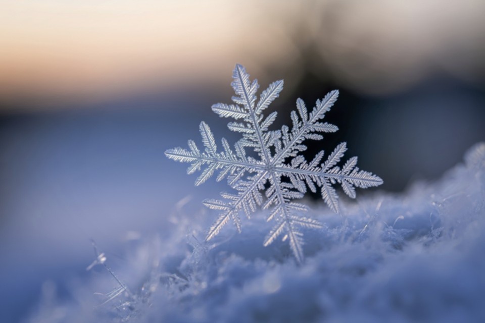    Российские ученые раскрыли «стыдную тайну» снежинок. Фото: robertomehmet/Shutterstock/Fotodom