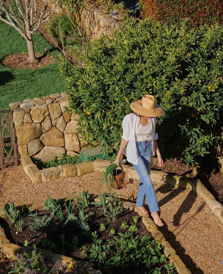 фото из яндекса