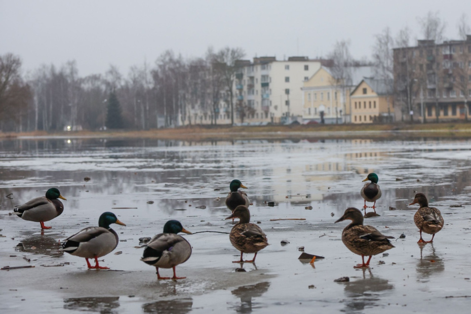    Наталья Шатохина/NEWS.ru