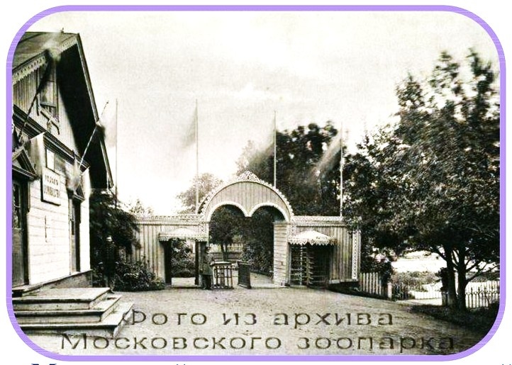 Из открытых источников интернета