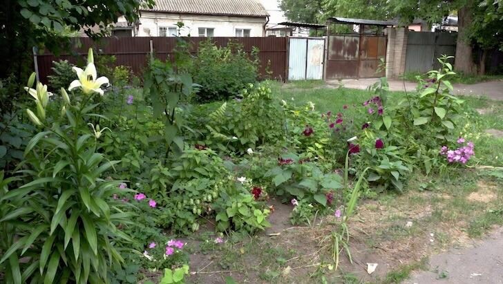    Фото: Пруфы