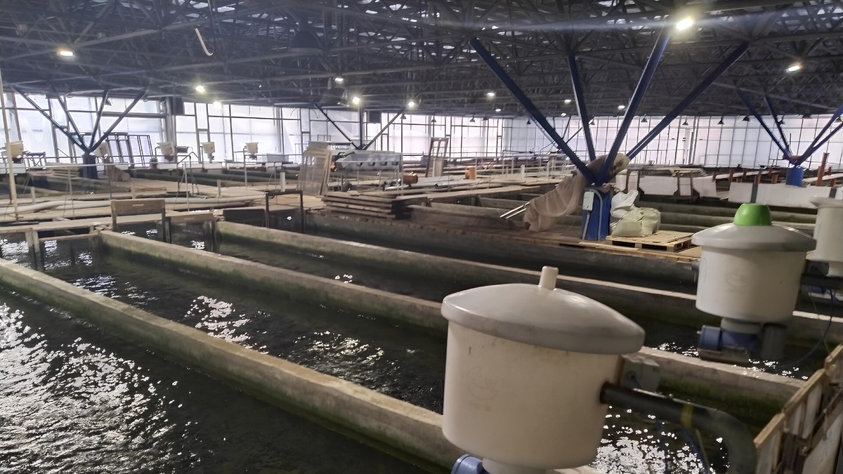 Фото: Полина Асланова