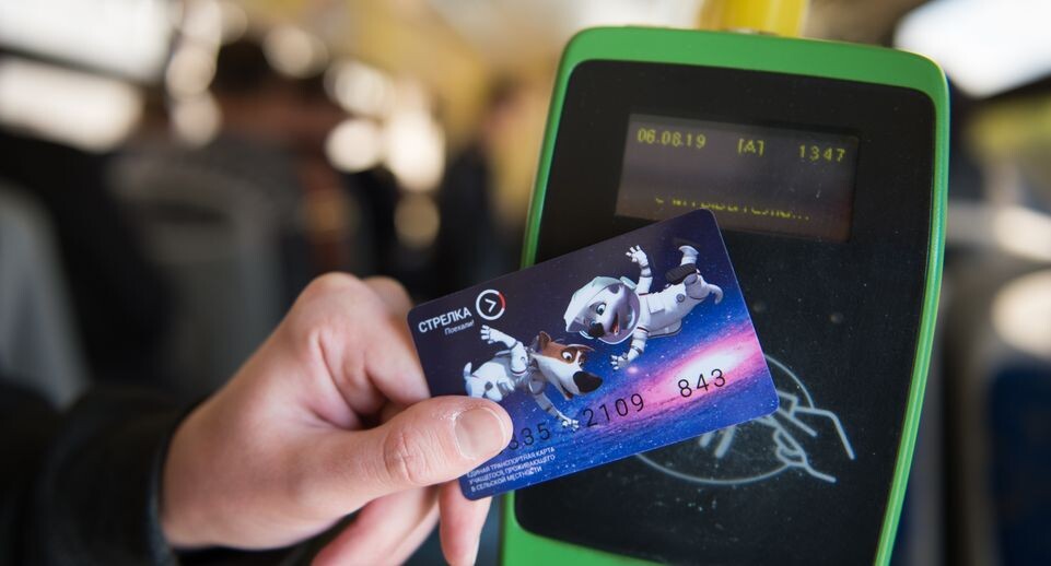    Презентация транспортных карт с героями мультфильма «Белка и Стрелка» / Медиасток.рф