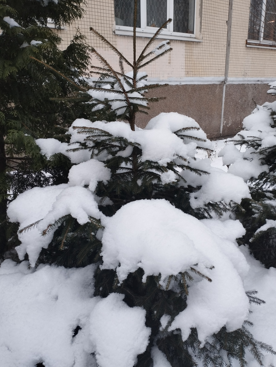 Разбавлю свои рассказы порцией красоты