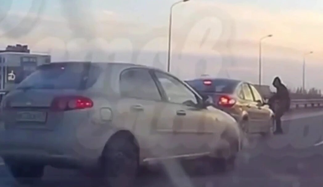    Фото: скрин из видео