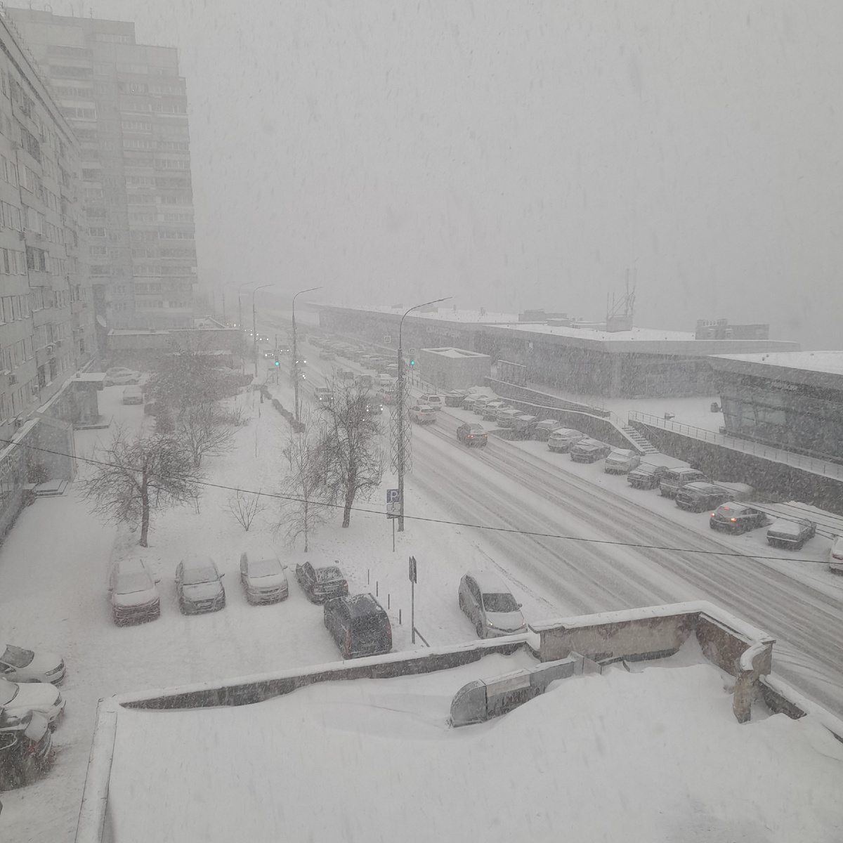 Фото автора. Февральская метель