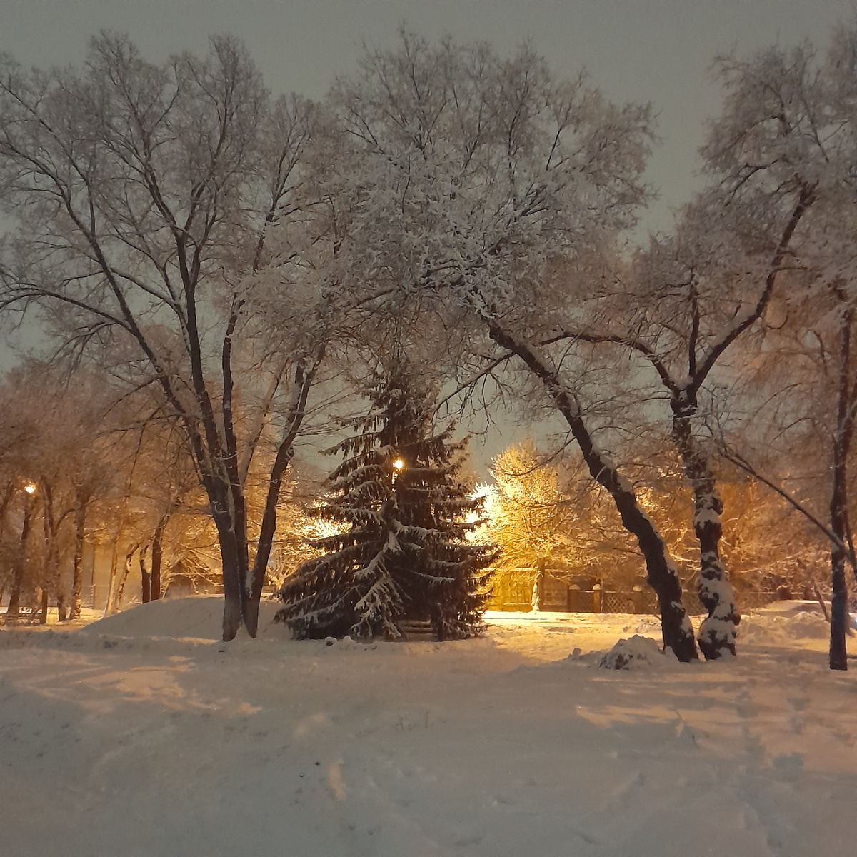 Фото автора. Иду с работы