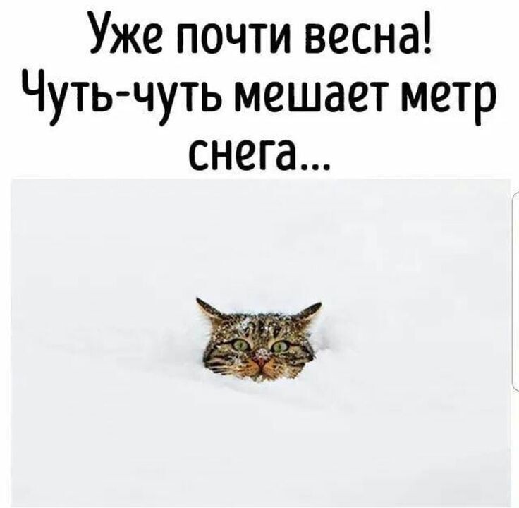 фото из интернета