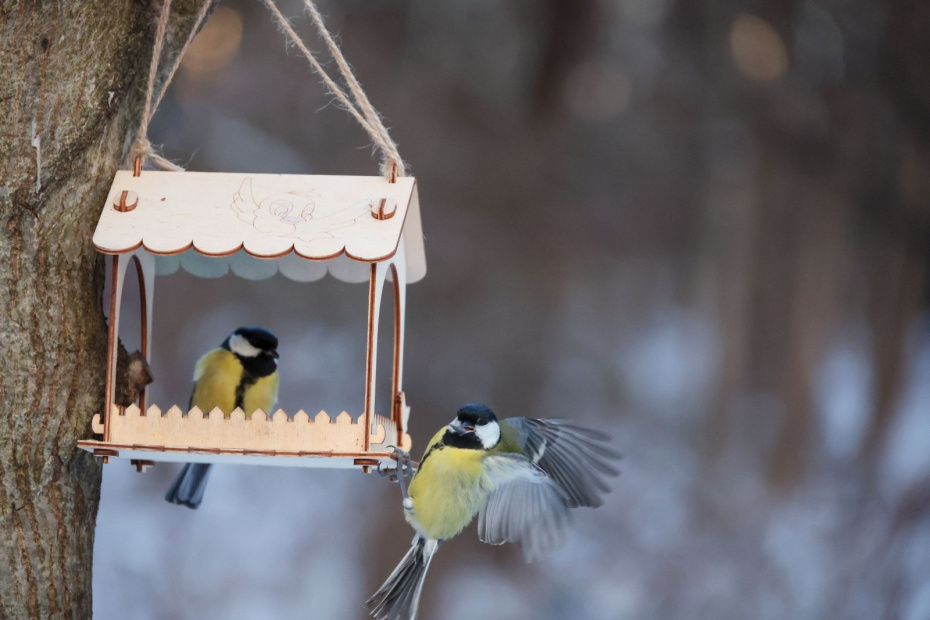    Алексей Белкин/NEWS.ru