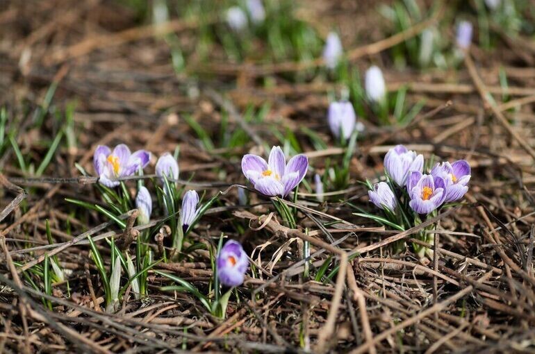   Василий Кузьмиченок / АГН «Москва»