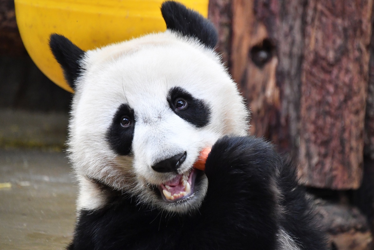    Фото: Наталья Селиверстова / РИА Новости