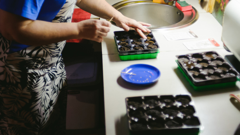 Точные пропорции и одинаковые условия - залог честного эксперимента