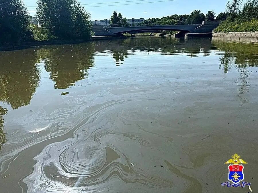    Фото: пресс-служба Управления на транспорте МВД России по СЗФО.