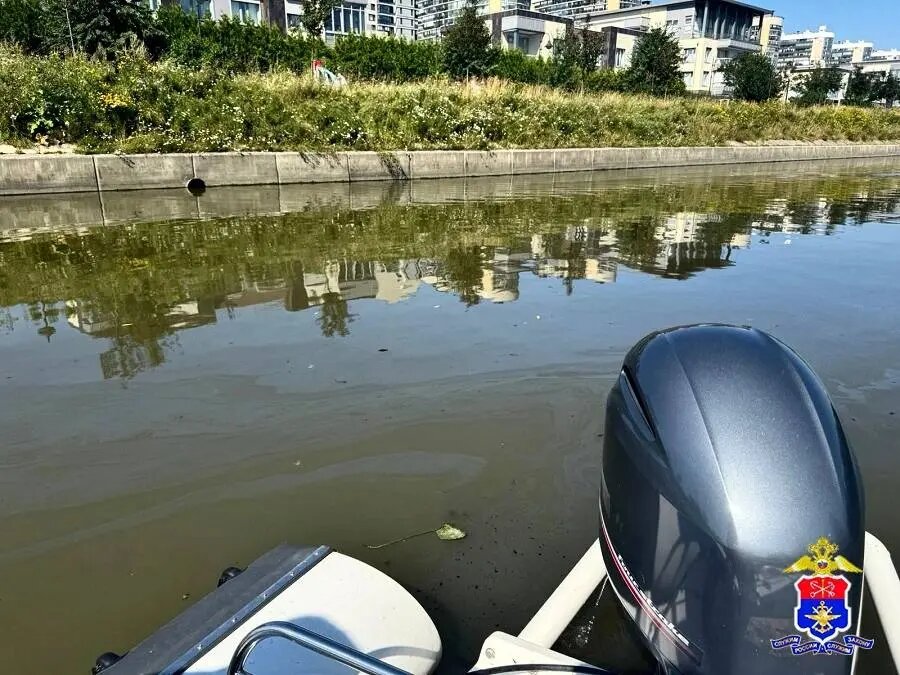    Фото: пресс-служба Управления на транспорте МВД России по СЗФО.