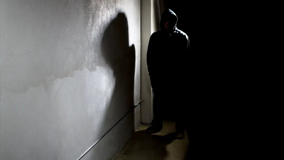    Фото: vm.ru Максим Левин