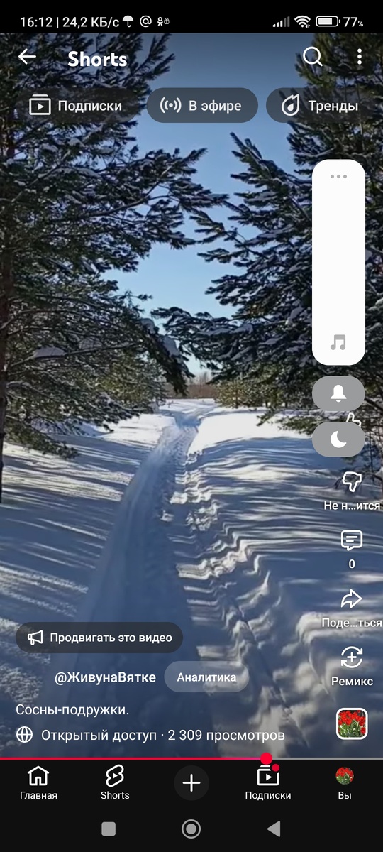 Скриншот с ютуба. Фото автора.