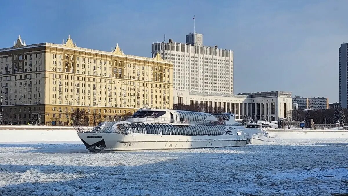    Фото: vm.ru Оливия Ильинская