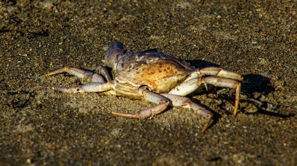    © Photo : Unsplash / Ella Baxter