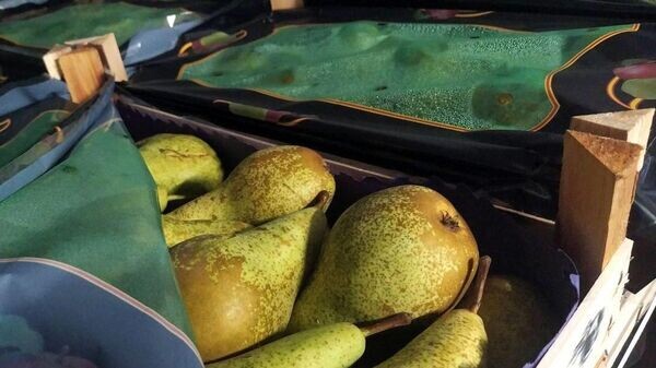    © ГТК Беларуси