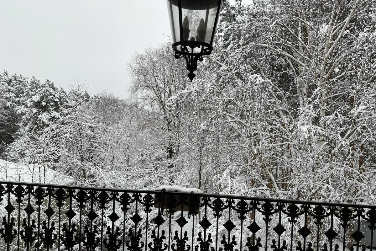 Зима может стать для семьи временем настоящих приключений. – Центр Поддержки Семейного Образования (ЦПСО)