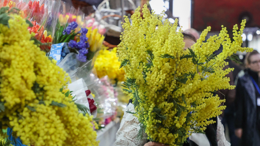    Фото: www.globallookpress.com/Belkin Alexey; 5-tv.ru