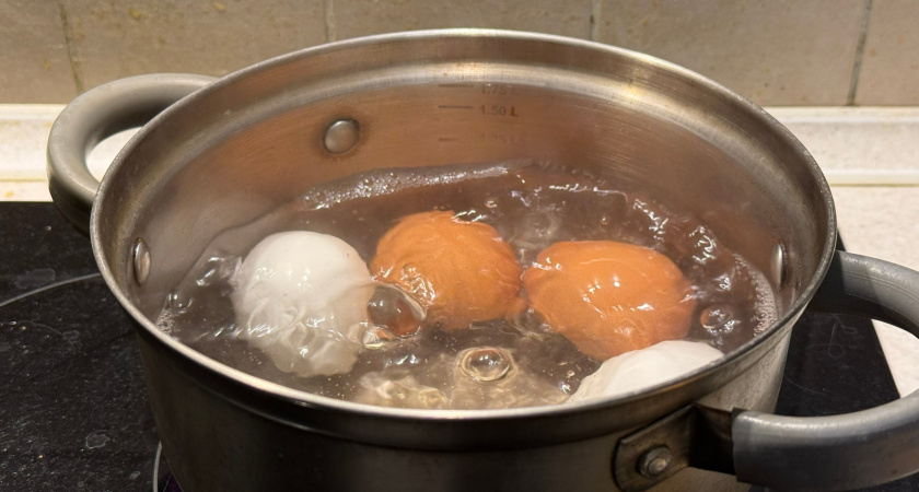    Фото progorod43.ru