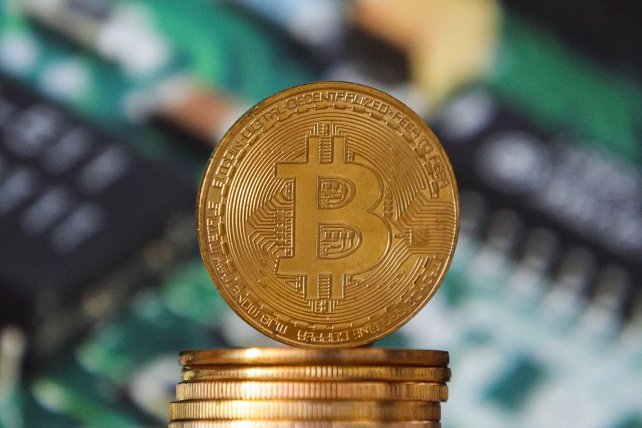    Сергей Булкин/NEWS.ru