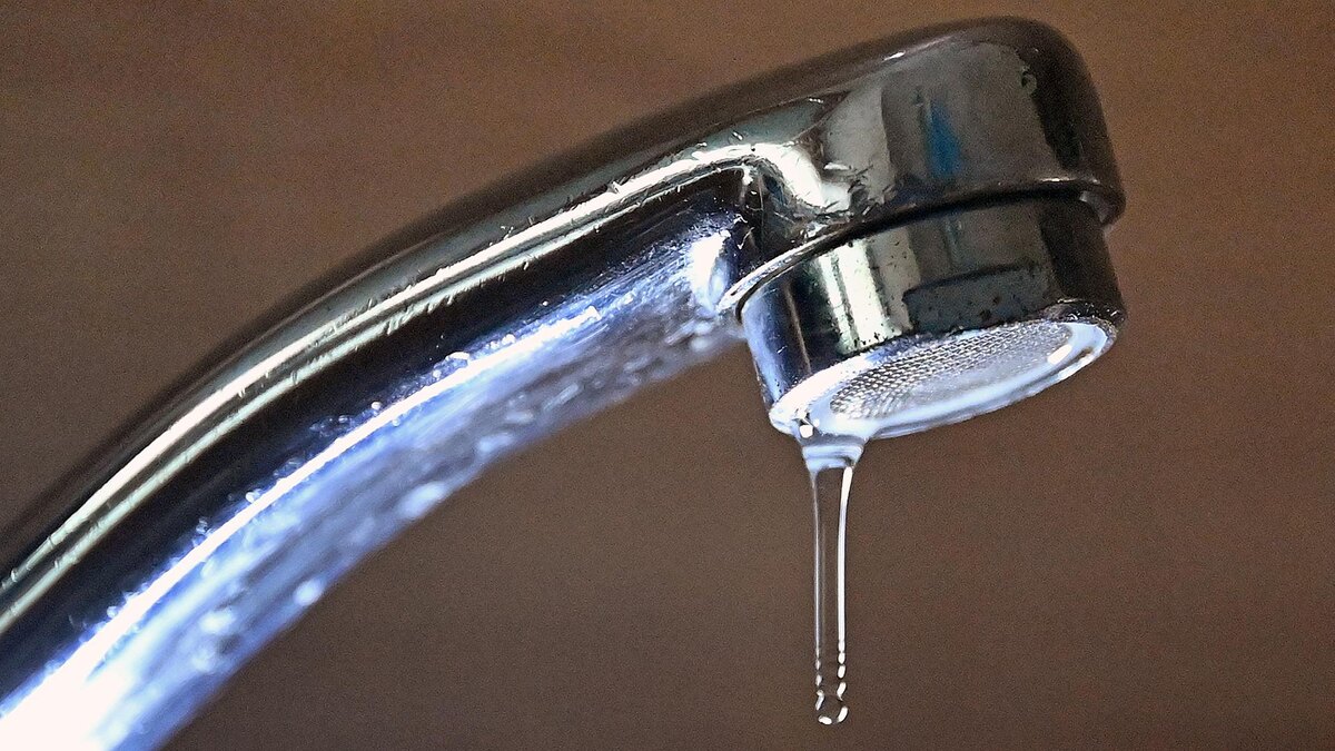    Фото: Frank Hoermann / SVEN SIMON/globallookpress.com