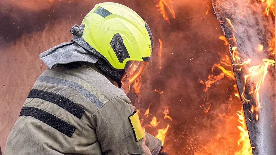    Фото: ИЗВЕСТИЯ/Андрей Эрштрем