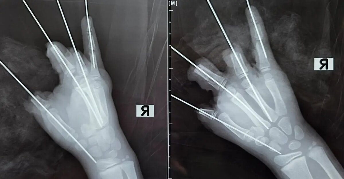    Фото: пресс-служба Педиатрического университета.