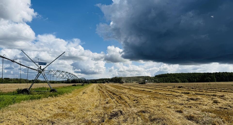    Минсельхозпрод Московской области