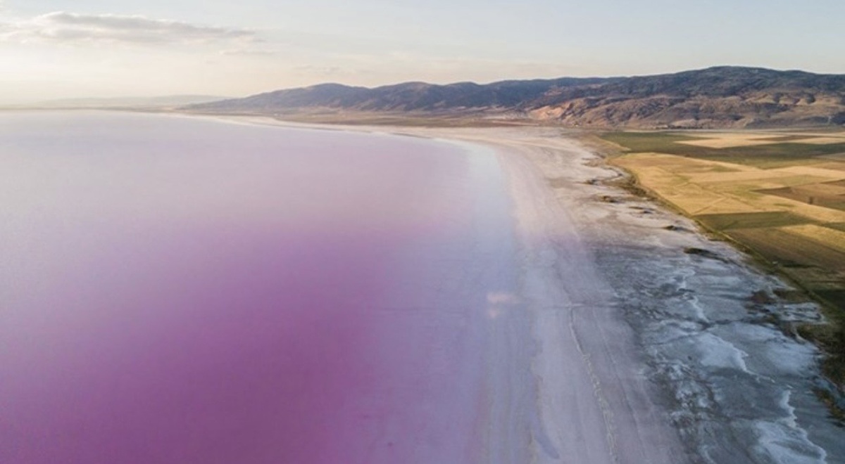 Фото: www.https://onedio.com