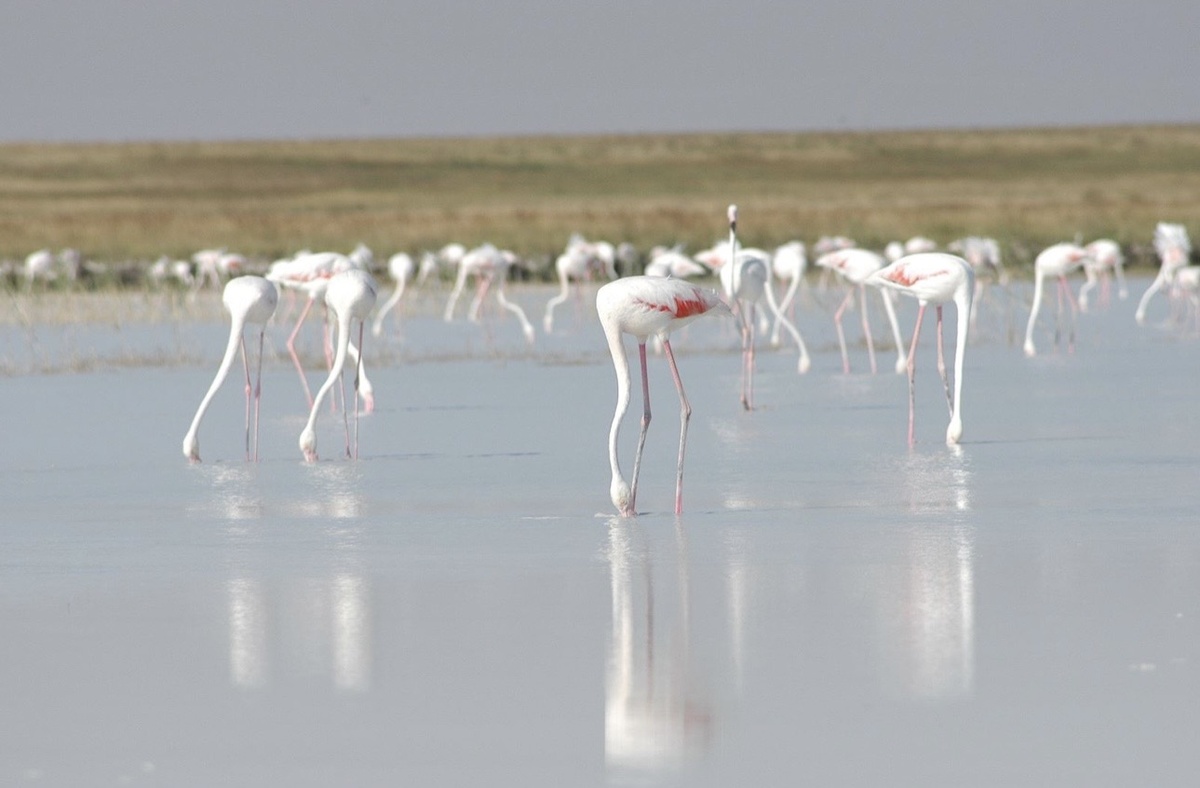 Фото: www.https://onedio.com